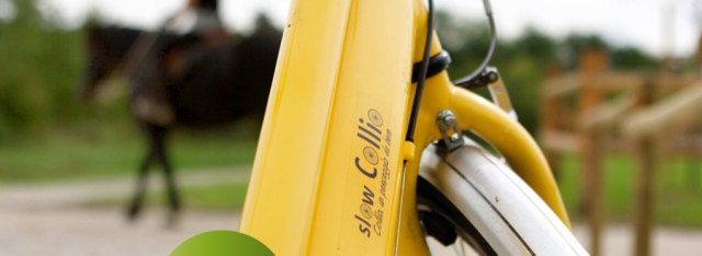  Mtb rental for Slow Collio cycle paths